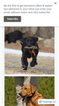 Mobile Screenshot of blackdogusa.com
